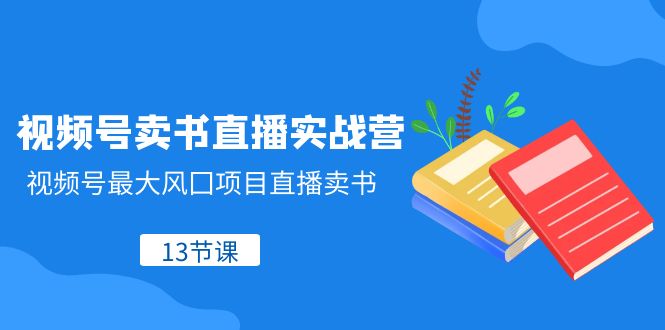 视频号卖书直播实战营，视频号最大风囗项目直播卖书（13节课）