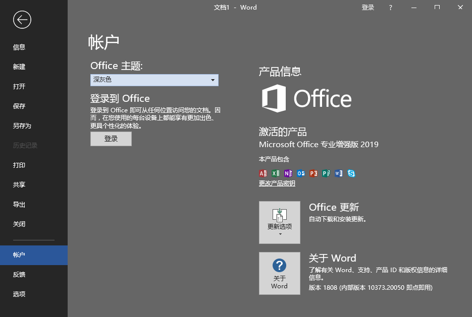 Microsoft Office 2019 界面截图