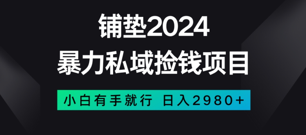 暴力私域捡钱项目，小白无脑操作，日入2980【揭秘】