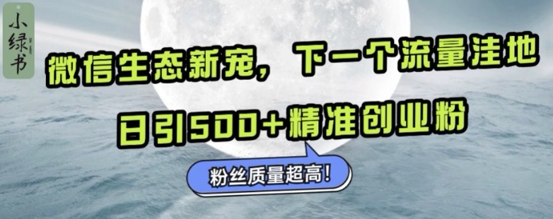 微信生态新宠小绿书：下一个流量洼地，日引500+精准创业粉，粉丝质量超高-北漠网络