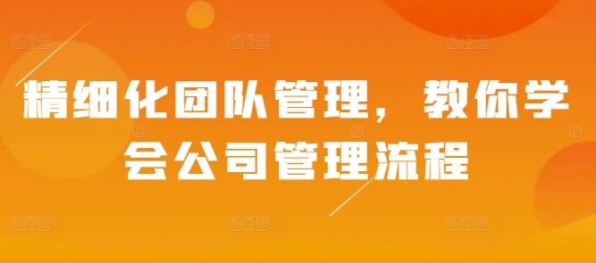 精细化团队管理技巧：掌握高效公司管理流程与策略-北漠网络