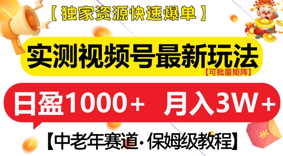 最新视频号运营技巧揭秘：中老年人群市场开拓，高效变现策略，月收入轻松过万-北漠网络