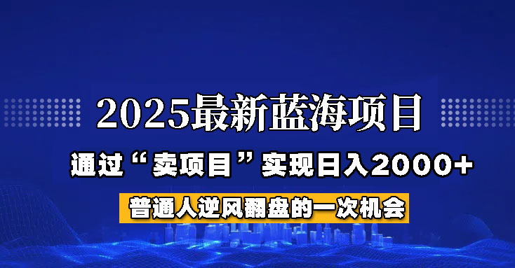 2025年蓝海项目：如何通过网创项目实现每日收入超过2000元-北漠网络