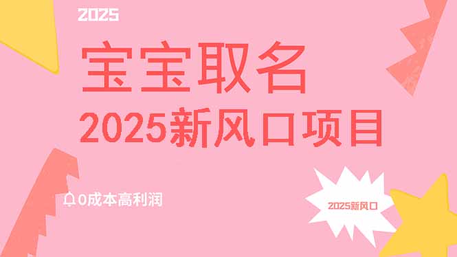 2025年热门项目：免费高利润宝宝取名服务，附带详细教程，轻松月入过万-北漠网络